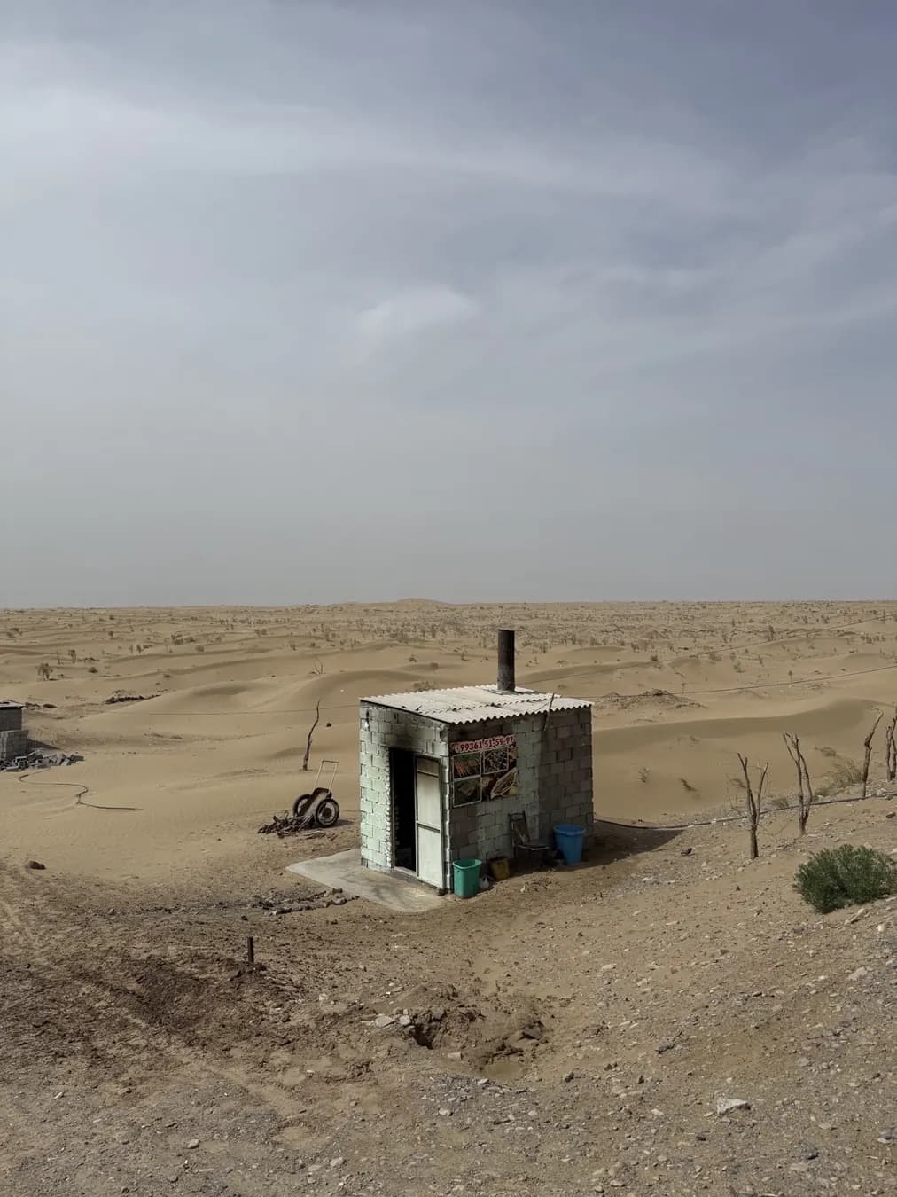 En mitad del desierto